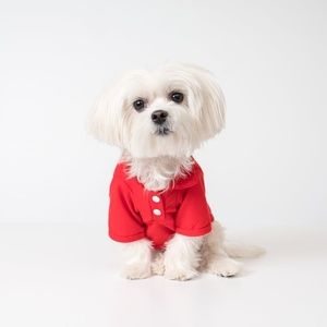 PET POLO SHIRT